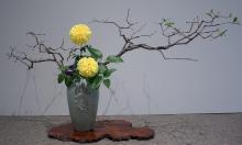 26 - Penny Davis.jpg 4.9K